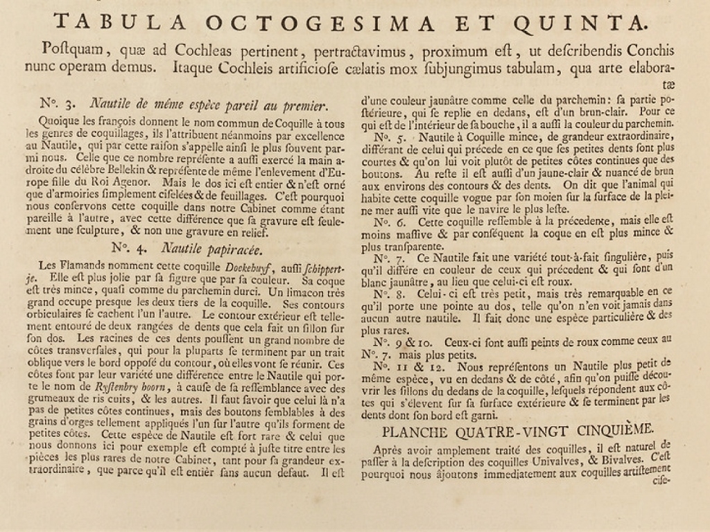 Seba Albert "Locpletissimi rerum naturalium thesauri" (1758) - texte 1 accompagnant la planche  précédente
