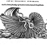 Belon Pierre  "De aquatilibus libri duo" - bois ; argonaute voguant sur la mer (1553)