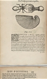 Rondelet  Guillaume "Histoire entière des poissons" VF (1558)