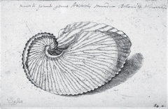 Lister Martin "De Cochleis tam terrestribus" (1685)  Signature de Suzanna Lister - Crédit The Bodleian Library University of Oxford.