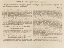 Seba Albert "Locpletissimi rerum naturalium thesauri" (1758) - texte 2 accompagnant la planche  précédente