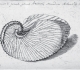 Lister Martin "De Cochleis tam terrestribus" (1685)  Signature de Suzanna Lister - Crédit The Bodleian Library University of Oxford.