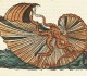 Argonauta argo - "Histoire naturelle des estranges poissons marins" - Pierre Belon - 1551