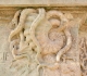 Argonaute sur le socle de statue de JB Lamarck à l'entrée du jardin des plantes (MNHN Paris)1