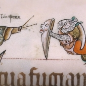 L’escargot (dextre) est confronté à un être mi-chevalier mi-lion -  inscription du mot "limaceoun" au dessus de l'escargot : limaçon ? Détail du psautier de Gorleston (1310-1324) - BLL