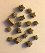Pierres étoilées - Isocrinus - Sion 54