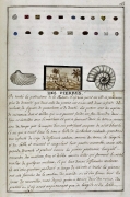 "Des pierres" recto - Histoire Naturelle des Animaux - Elie Richard 1700 - Crédit Médiathèque Michel Crépeau, La Rochelle