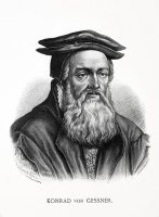 Conrad Gesner