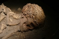 Squelette de la Dame de Cavillon et sa coiffe de coquillages - Grotte Grimaldi