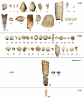 Objets de parure découverts dans le niveau IV40, l’Habitat n°1, IV213 et IV20 de Pincevent. 1-2 et 24-50 : Crommium sp., 3-4 : Rhinoclavis sp. , 5 : Capulus sp., 6 : Athleta sp., 7 : Battillaria pleurotomoides, 8 : Potamides angulosus, 9 et 56: Turritella oppenheimi, 10 : spire interne de gastéropode, 11 : piquant d’oursin, 12 et 55 : dent de requin, 13 : moule de ver, 14 ammonite, 15 : bélemnite, 16 : galet perforé, 17 : galet en cours de perforation, 18-23 : incisive de renne sciée, 51-52 : Ancillarina buccinoides, 53 : Olivella sp., 54 : Natica cepacea, 57-58 : perle en lignite, 59 : Dentalium sp