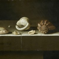 Six coquillages sur une tranche de pierre (1696), Adriaen Coorte (1665-1707), Musée du Louvre © RMN / Michel Urtado
