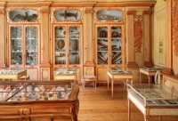 Cabinet d'histoire naturelle de Clément Lafaille au MHN de la Rochelle - Massimo Listri - Taschen)