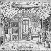 Ferrante Imperato - Cabinet de curiosités - 1599