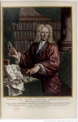 Albertus Seba