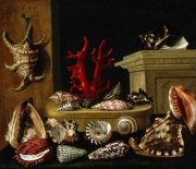 Nature morte aux coquillages et au corail (1640 ),  Jacques Linard (1597-1645), musée des beaux arts Monréal