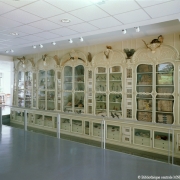 5 armoires issues du cabinet de curiosités de Bonnier de la Mosson dans la médiathèque du MNHN - Photo MNHN