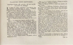 Seba Albertus - Locupletissimi rerum naturalium thesauri accurata pl 107 T4 - 1758