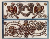 Seba Albertus - Locupletissimi rerum naturalium thesauri accurata pl 36 T4 présentation de coquilles - 1758