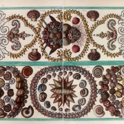 Seba Albertus - Locupletissimi rerum naturalium thesauri accurata pl 37 T4 présentation de coquilles - 1758