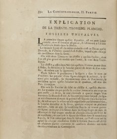 Dezallier - Explications Planche fossiles n°29 - édition 1742
