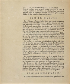 Dezallier - Explications Planche fossiles n°29 - édition 1742