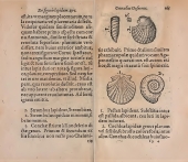 Strombus et Strombulus sont repris de figurations par Christophorus Encelius in "De re metallica" (1557)