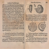 Strombus et Strombulus sont repris de figurations par Christophorus Encelius in "De re metallica" (1557)
