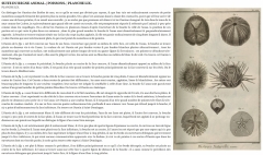 Explications + planche 59 - photo ENCCRE