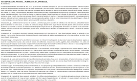 Explications + planche 59 - photo ENCCRE