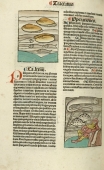 "Tractatus de pescibus" - Purpura la pourpre