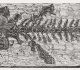 Johan Scheuchzer - Homo diluvii testis - Bois gravé 1893.