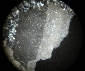 L11518RepI-LPAx4bis