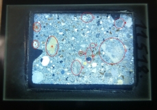 cL11518scanLPAreperesnov18