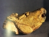 Tête de cheval hennissant - Grotte du Mas d'Azil - Magdalénien - Photo MAN la collection Piette