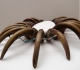 Collier en canines d'ours des cavernes - expo temporaire l'ours dans l'art préhistorique