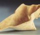 Objet de libation (ou lampe à huile ?) - Murex évidé de sa columelle - "Mésopotamie et Golfe, réflexions sur les modalités d'échanges de matériaux de prestige au IIIe millénaire av. J.-C. - © Barbara Couturaud