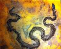 messel 2013 - Palaeopython - Photo jacques Dillon