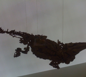 messel 2013 - Diplocynodon darwini (crocodile) - Photo jacques Dillon