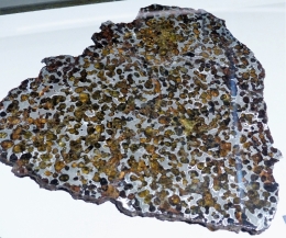 Pallasite. Assemblage de métal et d'olivine suite à l'impact entre un astéroïde métallique et le fragment de manteau d'un autre gros astéroïde. 'Springwater'  Canada en 1931