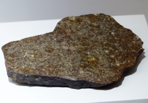 Chondrite ordinaire. Météorite 'Knyahinya, Ukraine 1866