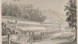 Serre du jardin des plantes, MNHN. Architecte Ch.  Rohault (1837 )  - crédit J.Guiguet MNHN