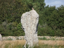 morbihan-sept-2012-rapace-sur-menhir