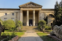 La galerie de paléobotanique du jardin des plantes MNHN Paris- à gauche aperçu de la souche de Taxodium  -crédit photo Besopha