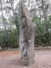 Grand Menhir, Carnac (56)