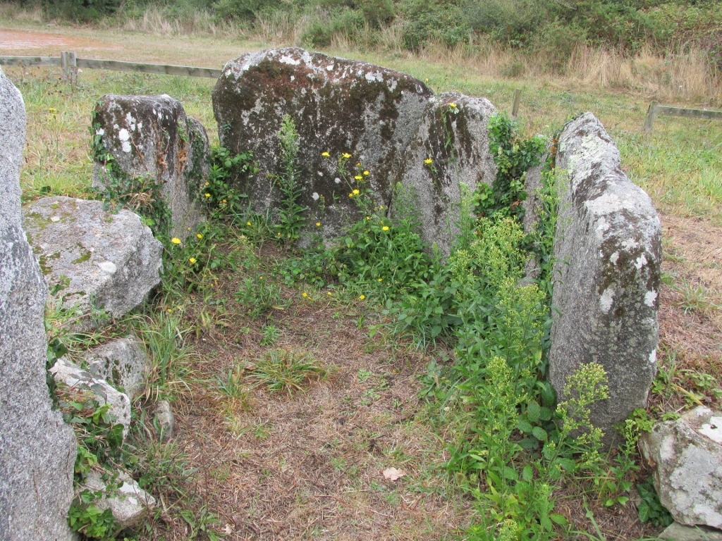 Cromlech (enceinte de pierres levées), détail - Carnac (56)