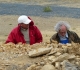 Jean Pierre et Jacques à l\'oeuvre dans le filon de bois fossile repéré par Jean Pierre