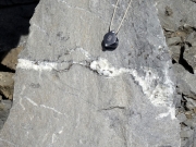 Diaclases dans le Pliensbachien recristallisées en calcite