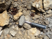 Bois fossile (peut-être pas sédimentaire)