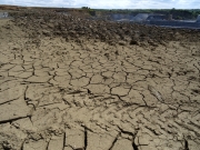 Mud-cracks actuelles