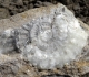 Pleuroceras épigénisée en calcite